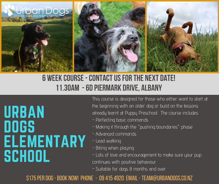 Urban Dogs Urban Dogs